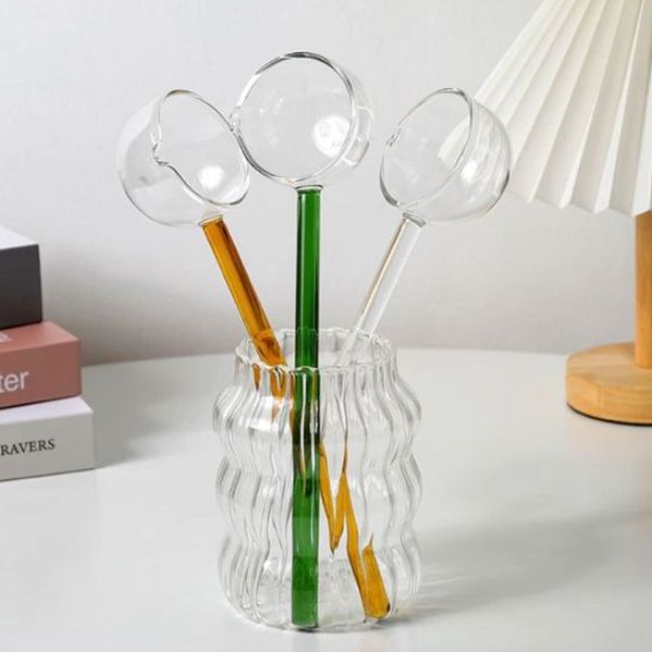 Transparent heat resistant glass serving spoon for soup and coffee