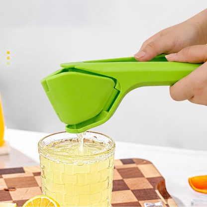 Citrus Hand Lemon Squeezer Fold